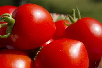 Tomato - 1 KG