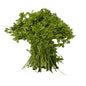 Coriander Leaves - 250 gm